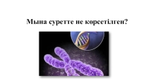 Презентация по биологии на тему Размножение