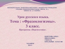 Презентация по русскому языку на тему Фразеологизмы (3 класс)
