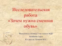 Презентация исследовательской работы  зачем нужна сменная обувь