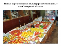 Презентация Новые сорта овощных культур рекомендованные для Самарской области