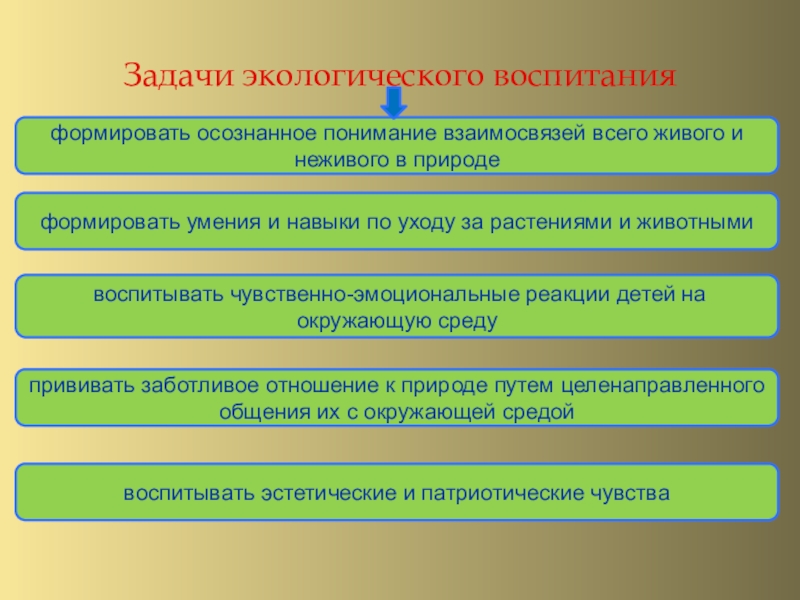 Инновационные формы работы с дошкольниками по экологическому воспитанию презентация