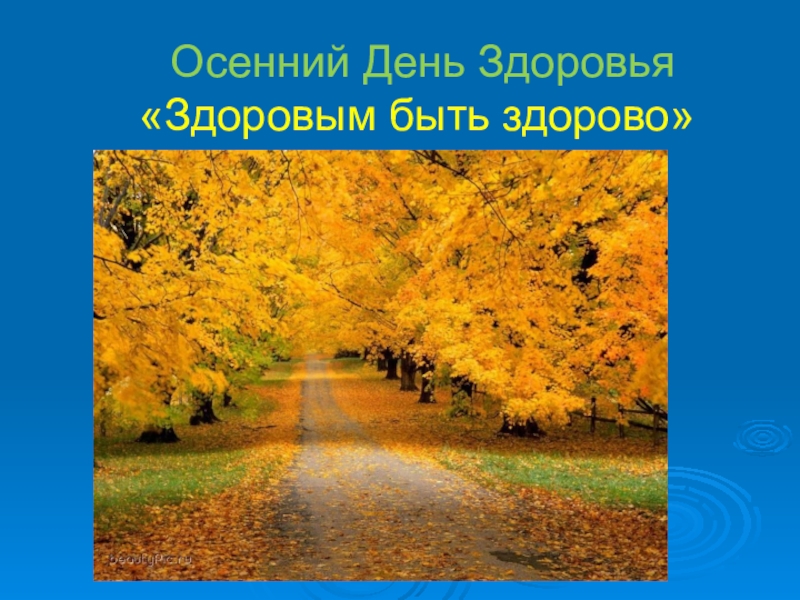 Осенний здоровья. Осеннего здоровья. Здоровье осенью. День здоровья осенью. Здоровья в осенний день картинки.