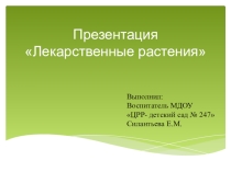 Презентация по ознакомлению с окружающим миром на тему Лекарственные растения (подготовительная группа)