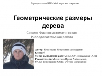 Муниципальная НПК Мой мир – мои открытия Геометрические размеры дерева