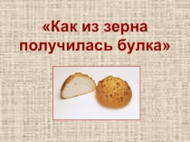 Презентация к уроку окружающего мира:Как из зерна получилась булка (1 класс)