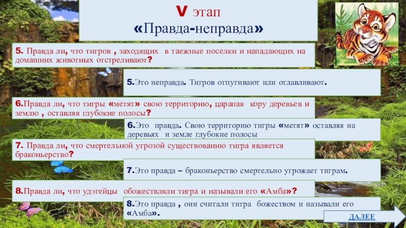 Квест-игра для учащихся 4класса Тигр-символ величия и мощи V этап«Правда-неправда»5. Правда ли, что тигров , заходящих в таежные V этап«Правда-неправда»5. Правда ли, что тигров , заходящих в таежные поселки и нападающих на домашних