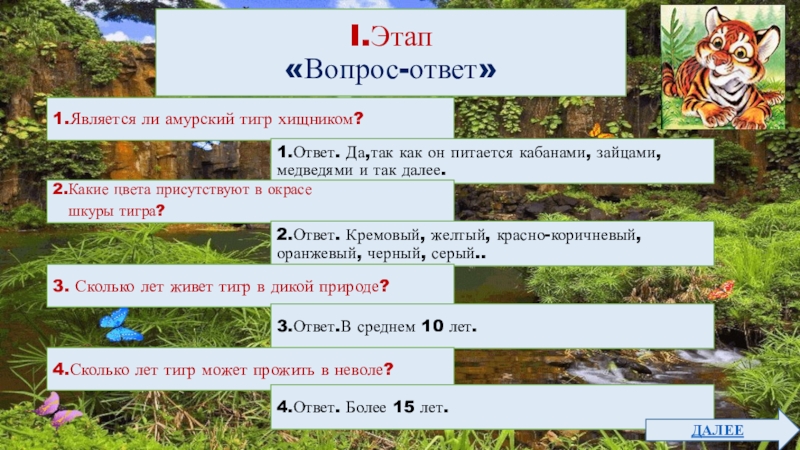 Квест-игра для учащихся 4класса Тигр-символ величия и мощи I.Этап«Вопрос-ответ»1.Является ли амурский тигр хищником?1.Ответ. Да,так как он питается кабанами, I.Этап«Вопрос-ответ»1.Является ли амурский тигр хищником?1.Ответ. Да,так как он питается кабанами, зайцами, медведями и так далее.