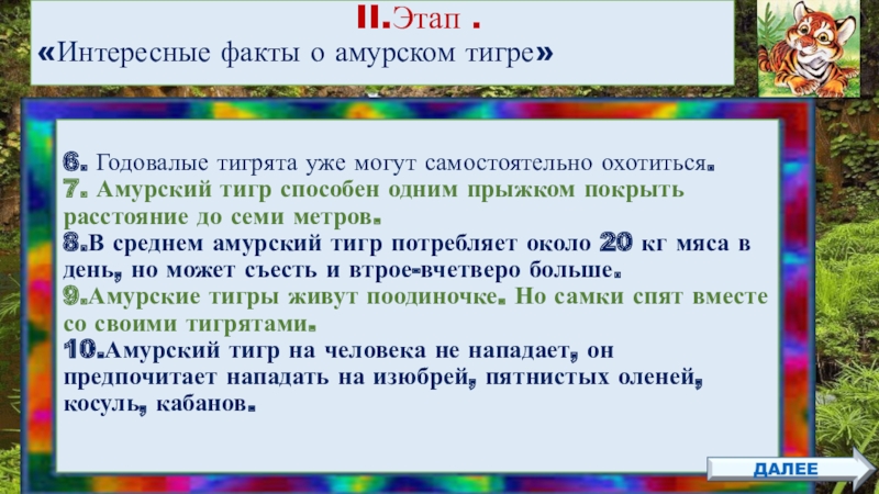 Квест-игра для учащихся 4класса Тигр-символ величия и мощи II.Этап . «Интересные II.Этап .