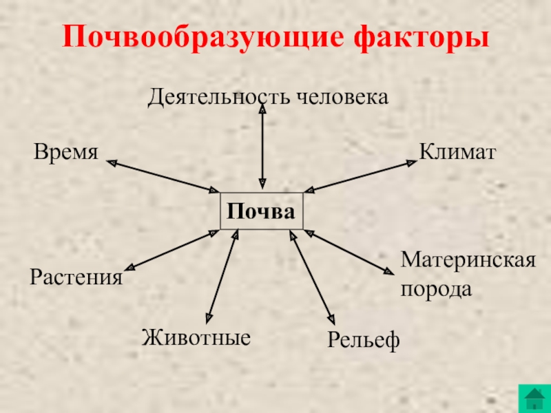 Факторы почвы. Факторы почвообразования. Почвообразующие факторы. Факторы формирования почвы. Факторы почвообразования схема.