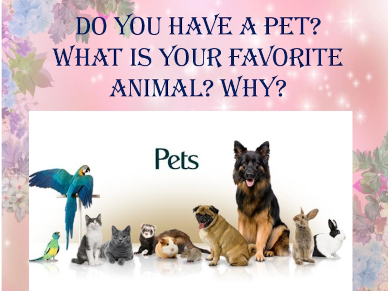 Who s your favorite. Проект на тему my Pet. Проект my favourite animal. My favourite Pet проект. What is your favourite Pet.