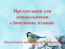 Презентация  Зимующие птицы