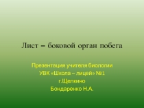 Презентация Лист - боковой орган побега