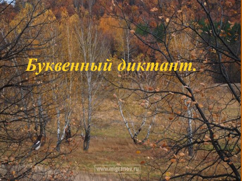 Открытый урок русского языка на тему Определение(8 класс) Буквенный диктант. Буквенный диктант.