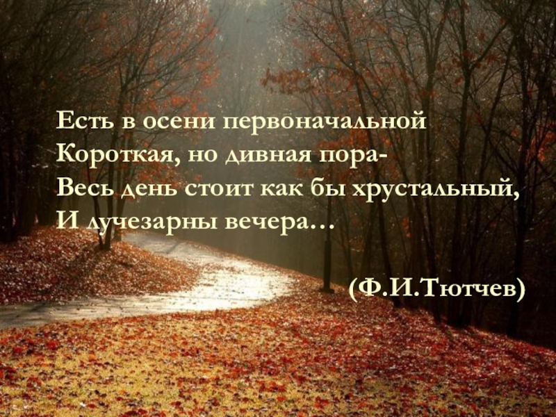 Открытый урок русского языка на тему Определение(8 класс) Есть в осени первоначальнойКороткая, но дивная пора- Весь день стоит как Есть в осени первоначальнойКороткая, но дивная пора- Весь день стоит как бы хрустальный,И лучезарны вечера…