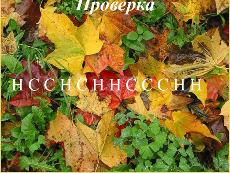 Открытый урок русского языка на тему Определение(8 класс) Проверка Н С С Н Проверка Н С С Н