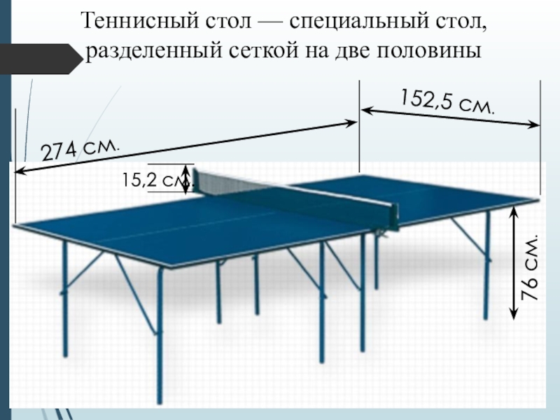 Вес настольного тенниса. Размеры теннисного стола чертеж. Настольный теннис (стол т1223). Высота сетки для настольного тенниса стандарт. Теннисный стол wips 274*152.