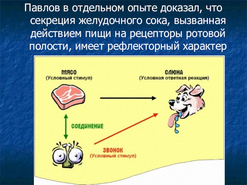 Укажите условный рефлекс человека. Рефлекторный характер. Ротовой анализатор по Павлову. Опыты и эксперименты в ротовой полости. Процесс выделения желудочного сока.