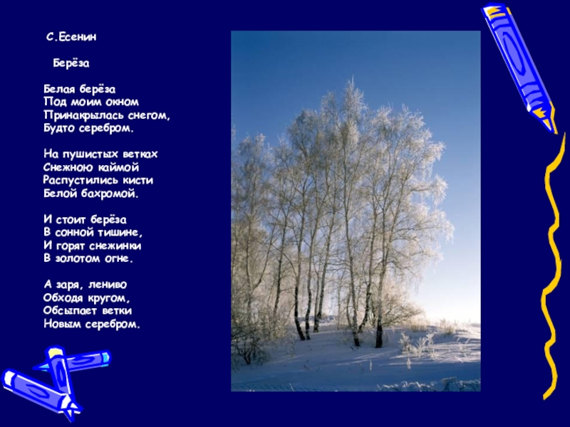 Презентация по русскому языку по теме Имя прилагательное(6 класс) С.Есенин БерёзаБелая берёзаПод моим окномПринакрылась снегом, Будто серебром.На пушистых веткахСнежною С.Есенин БерёзаБелая берёзаПод моим окномПринакрылась снегом, Будто серебром.На пушистых веткахСнежною каймойРаспустились кистиБелой бахромой.И стоит берёзаВ сонной