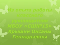 Презентация  Работа классного руководителя