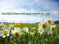 Лекарственные растения