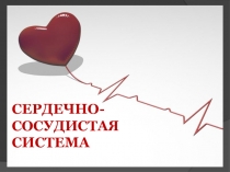 Презентация по биологии на тему Сердечно-сосудистая система(8 класс)