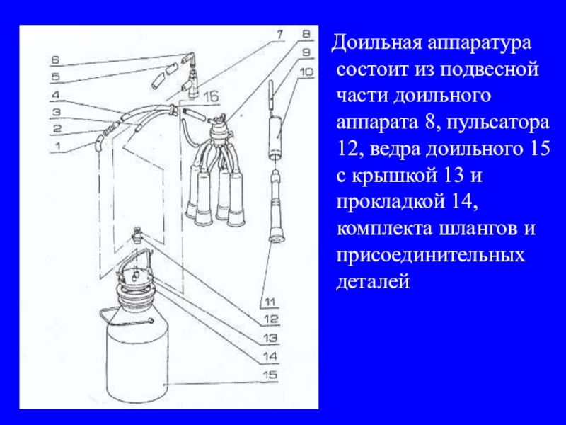 Схема доильного аппарата