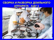 Урок по ПМ. 01 по профессии хозяйка(ин) усадьбы