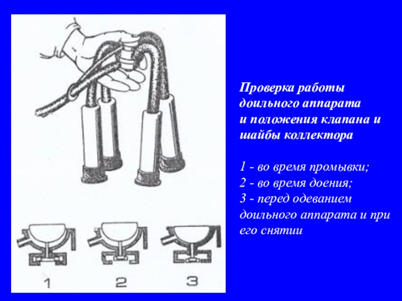 Схема коллектора доильного аппарата