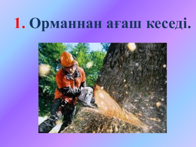Ашық сабақтың презентациясы 1. Орманнан ағаш кеседі. 1. Орманнан ағаш кеседі.