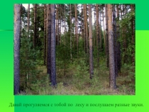 Презентация. Лес - единство живой и неживой природы