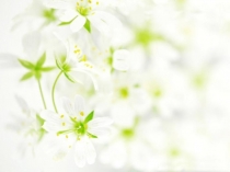 21 ҒАСЫР КӨШБАСШЫСЫ ПРЕЗЕНТАЦИЯ 1-4 СЫНЫПҚА АРНАЛҒАН