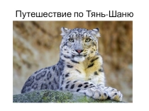 Презентация к уроку географии в 8 классе: Путешествие по Тянь-Шаню