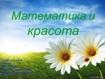 Презентация по математике на тему Математика и красота