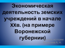 Презентация: Экономическая деятельность земских учреждений в начале XX в.