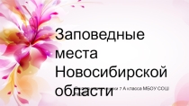 Презентация по географии на тему: Природоохранные территории НСО.