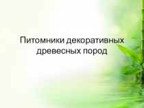 Презентация Питомники декоративных древесных пород