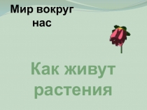 Презентация по окружающему мируКак живут растения?