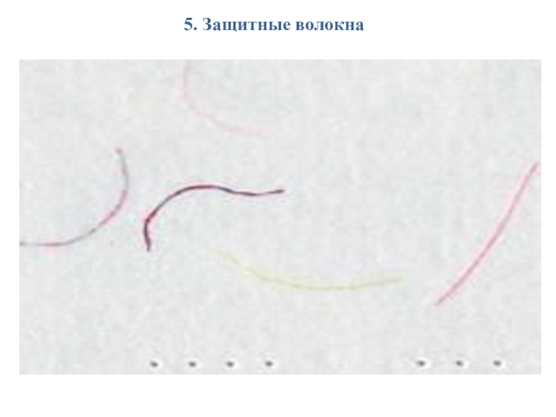 Презентация Признаки подлинности денежных купюр Банка России 5. Защитные волокна 5. Защитные волокна
