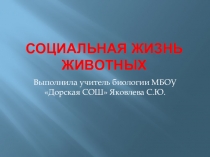 Презентация по биологии Социальная жизнь животных
