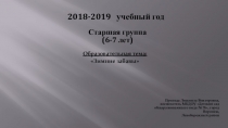 Презентация Организации РППС в детском саду