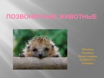 Презентация по биологии Позвоночные