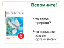Презентация по биологии Чем живое отличается от неживого