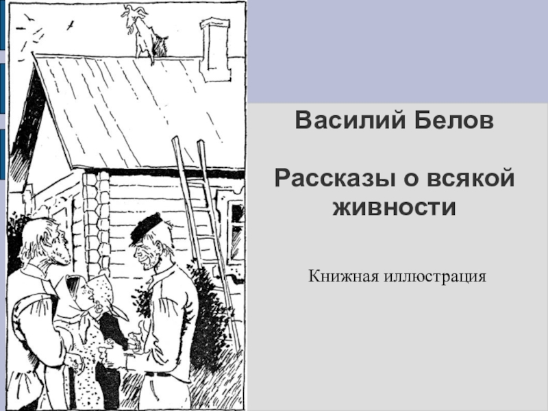 Василий Белов  Рассказы о всякой живностиКнижная иллюстрация