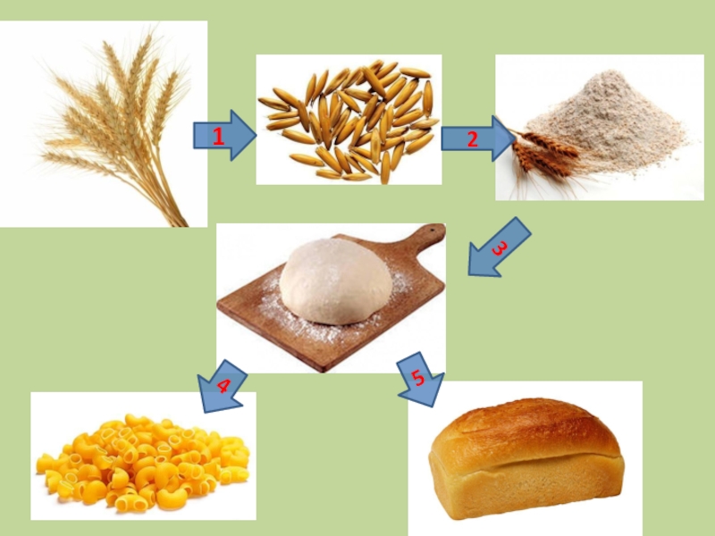 Путь от зерна до буханки хлеба в картинках для детей