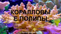 Презентация по биологии на тему Коралловые полипы (7 класс)
