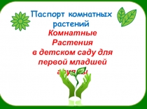Презентация по экологии на тему  Паспорт комнатных растений для первой младшей группы
