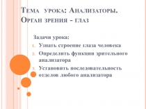 Презентация по биологии 8 класс Зрительный анализатор