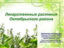 Презентация Картотека лекарственных растений Октябрьского района