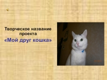 Презентация исследовательского проекта  Мой друг КОШКА