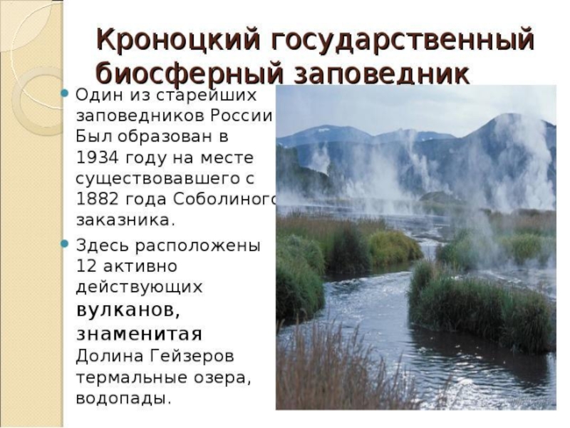 Информация про заповедник. Рассказ об 1 заповеднике России. Сообщение о заповеднике. Заповедники России доклад. Доклад о заповеднике.